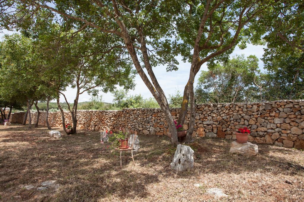 Villa House Soni - 800 M From The Sea Rovinj Exterior foto